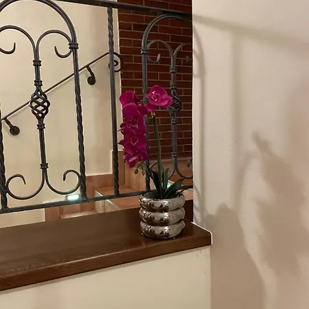 Guest house Elzet