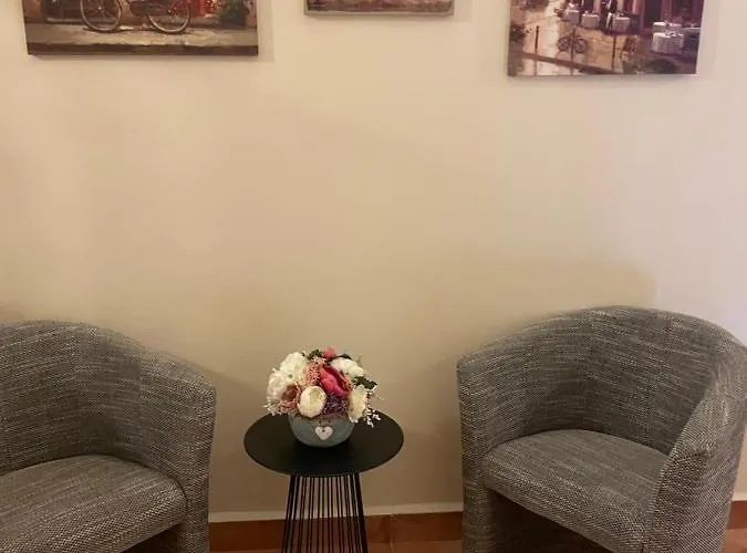 Πανσιόν Elzet Třeboň